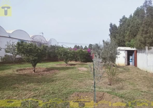 A ne pas rater 390 Md négociable - Bien immobilier à {"id":16,"country_id":219,"name":"NABEUL","slug":"nabeul"} - Image 4 - Sonia Immo - Agence Immobilière Sonia Immo