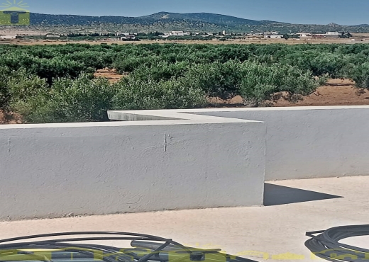 🌿 للبيع ضيعة فلاحية بطريق بوفيشة 🌿 - Bien immobilier à {"id":16,"country_id":219,"name":"NABEUL","slug":"nabeul"} - Image 2 - Sonia Immo - Agence Immobilière Sonia Immo