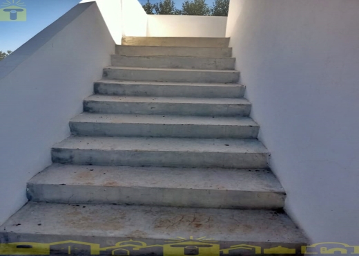 🌿 للبيع ضيعة فلاحية بطريق بوفيشة 🌿 - Bien immobilier à {"id":16,"country_id":219,"name":"NABEUL","slug":"nabeul"} - Image 4 - Sonia Immo - Agence Immobilière Sonia Immo
