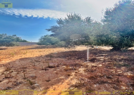 🌿 Terrain à vendre – Monchar, Hammamet Sud - Bien immobilier à {"id":16,"country_id":219,"name":"NABEUL","slug":"nabeul"} - Image 2 - Sonia Immo - Agence Immobilière Sonia Immo