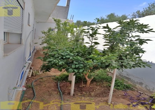 A vendre une superbe maison S+3 - Bien immobilier à {"id":16,"country_id":219,"name":"NABEUL","slug":"nabeul"} - Image 2 - Sonia Immo - Agence Immobilière Sonia Immo