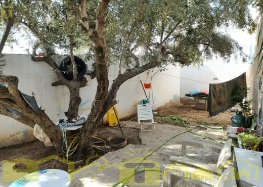 Une maison S+2 avec jardin - Bien immobilier à {"id":16,"country_id":219,"name":"NABEUL","slug":"nabeul"} - Image 4 - Sonia Immo - Agence Immobilière Sonia Immo